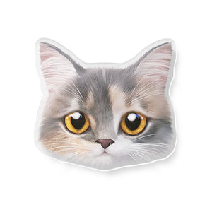 Bori the Munchkin Cat Face Acrylic Tok