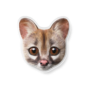 Musk the Genet Cat Face Acrylic Tok