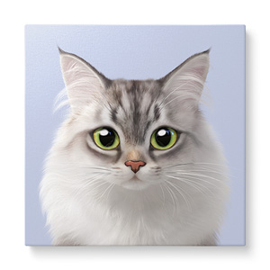 Miho the Norwegian Forest Art Canvas