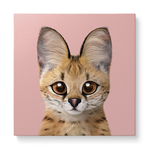 Scarlet the Serval Art Canvas