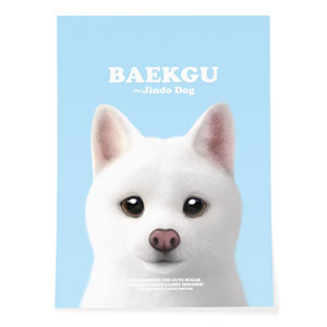 Baekgu Retro Art Poster