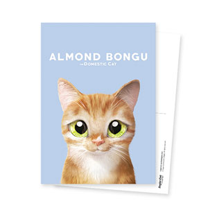 Almond Bongu Postcard