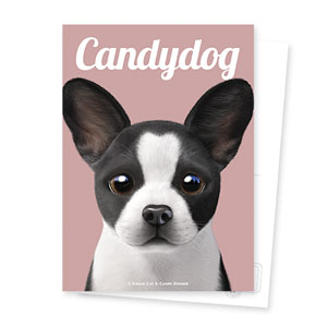 Franky the French Bulldog Magazine Postcard