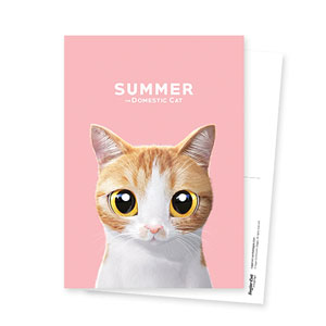 Summer Postcard