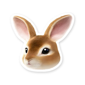 Haengbok the Rex Rabbit Face Deco Sticker