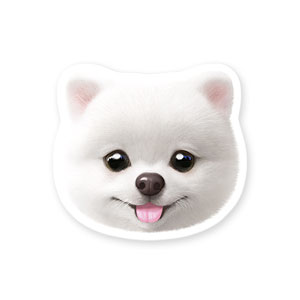 QiuQiu the Pomeranian Face Deco Sticker