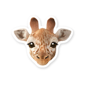 Capri the Giraffe Face Deco Sticker