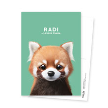 Radi the Lesser Panda Postcard