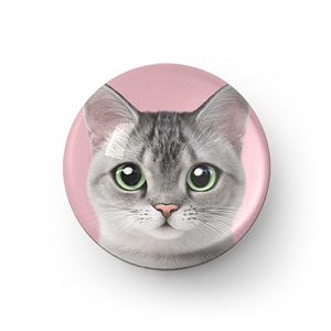 Cookie the American Shorthair Acrylic Dome Tok