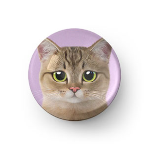 Lulu the Tabby cat Acrylic Dome Tok