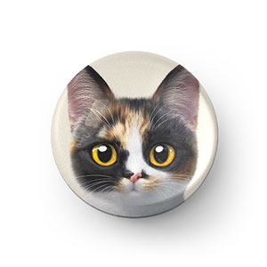 Mayo the Tricolor cat Acrylic Dome Tok