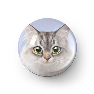 Miho the Norwegian Forest Acrylic Dome Tok