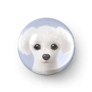 Siri the White Poodle Acrylic Dome Tok