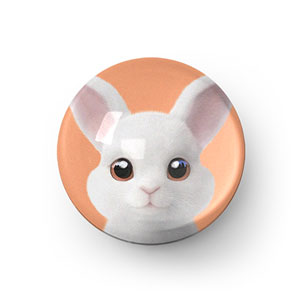 Carrot the Rabbit Acrylic Dome Tok