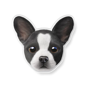 Franky the French Bulldog Face Acrylic Tok