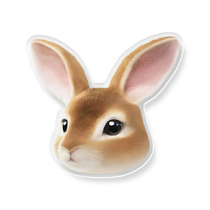 Haengbok the Rex Rabbit Face Acrylic Tok
