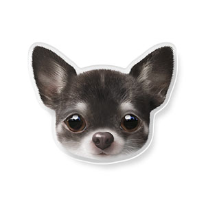 Leon the Chihuahua Face Acrylic Tok