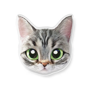 Momo the American shorthair cat Face Acrylic Tok