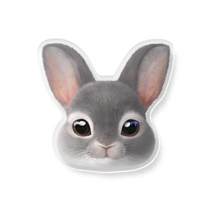 Chelsey the Rabbit Face Acrylic Tok