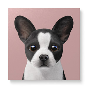 Franky the French Bulldog Art Canvas