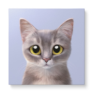 Leo the Abyssinian Blue Cat Art Canvas