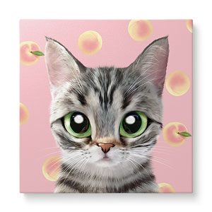 Momo the American shorthair cat’s Peach Art Canvas