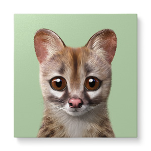 Musk the Genet Cat Art Canvas
