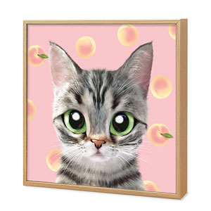 Momo the American shorthair cat’s Peach Artframe