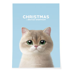 Christmas the British Shorthair Art Poster