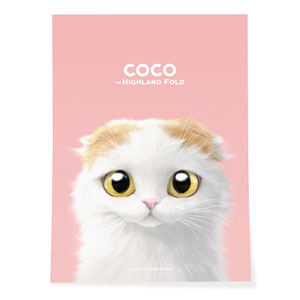 Coco the Highland Fold Art Poster