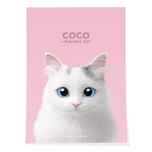Coco the Ragdoll Art Poster