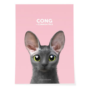 Cong the Cornish Rex Art Poster