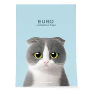 Euro Art Poster
