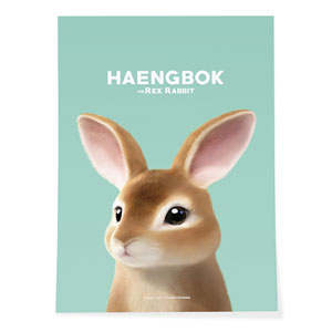 Haengbok the Rex Rabbit Art Poster
