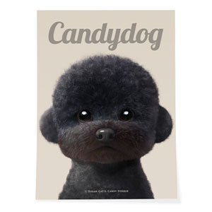 Cola the Medium Poodle Magazine Art Poster