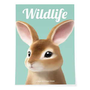 Haengbok the Rex Rabbit Magazine Art Poster