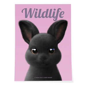 Black Jack the Rabbit Magazine Art Poster