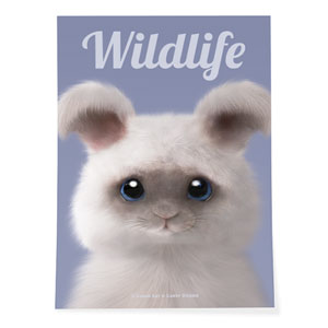 Fluffy the Angora Rabbit Magazine Art Poster