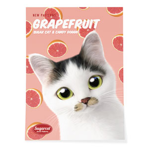 Jamong&#039;s Grapefruit New Patterns Art Poster