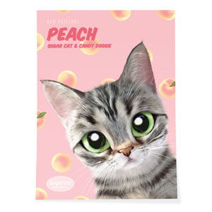 Momo the American shorthair cat’s Peach New Patterns Art Poster