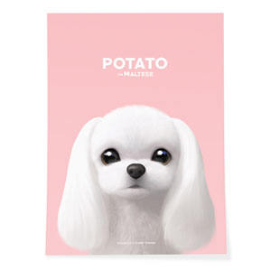 Potato the Maltese Art Poster
