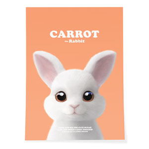 Carrot the Rabbit Retro Art Poster