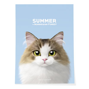 Summer the Norwegian Froest Art Poster