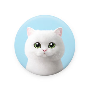 May the British Shorthair Mirror Button