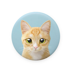Roy the Cheese Tabby Mirror Button