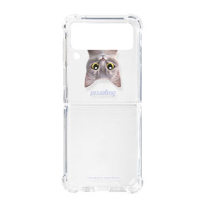 Leo the Abyssinian Blue Cat Simple Shockproof Gelhard Case for ZFLIP series
