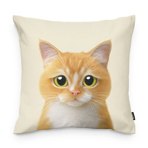 Curry Throw Pillow