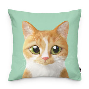 Oliver Throw Pillow