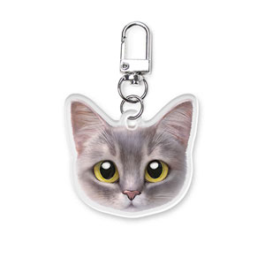 Leo the Abyssinian Blue Cat Face Acrylic Keyring