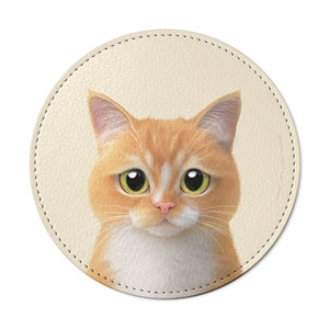 Curry Leather Coaster